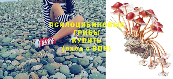 PSILOCYBIN Алексеевка