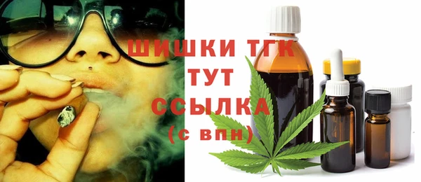 крисы Козловка