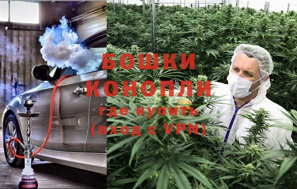 PSILOCYBIN Алексеевка