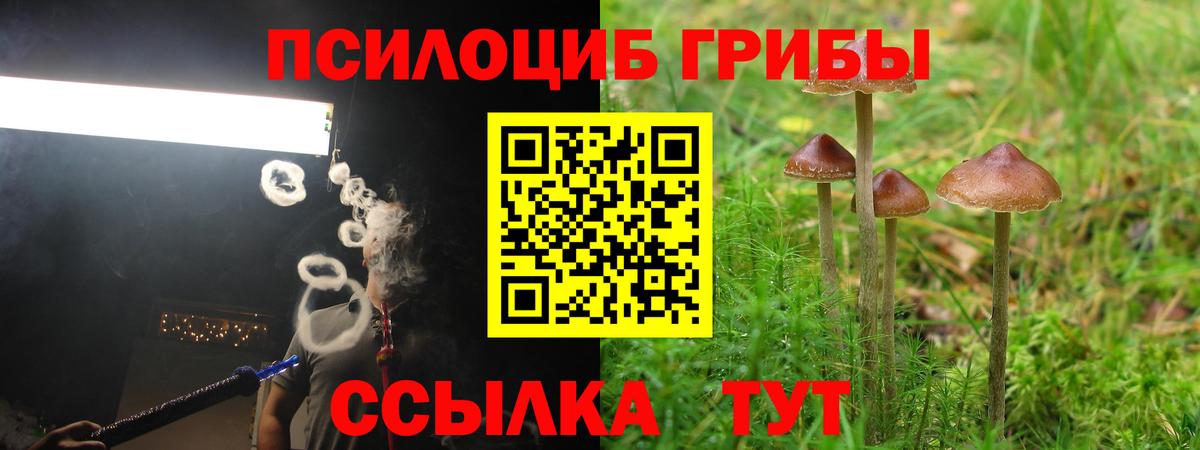 Псилоцибиновые грибы MAGIC MUSHROOMS Лабинск
